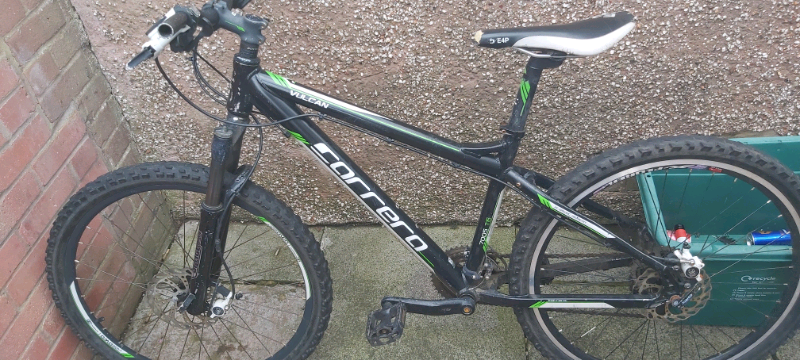 carrera headset bearings